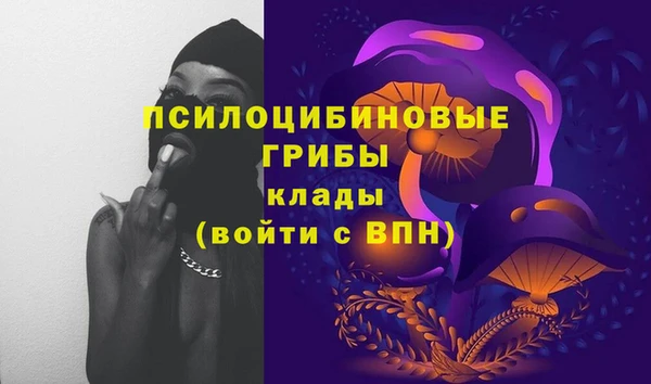 хмурый Белоозёрский