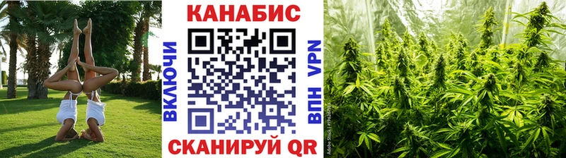 Бошки Шишки конопля  Еманжелинск 